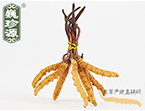 xĲ2l/ ڲ x؛r(ji)306Ԫ/