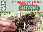 rxĲ շb 0.6/r(ji)60Ԫ/