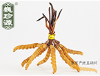 x(chng)Ĳ2.5l/ ڲ x؛r(ji)252Ԫ/